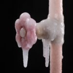 frozen pipes